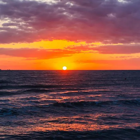 Sea La Vie